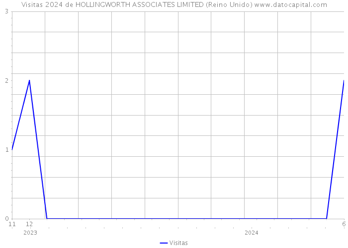 Visitas 2024 de HOLLINGWORTH ASSOCIATES LIMITED (Reino Unido) 