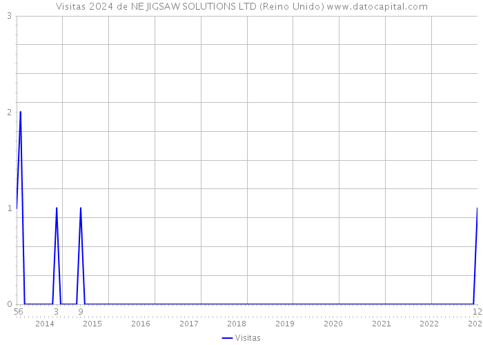 Visitas 2024 de NE JIGSAW SOLUTIONS LTD (Reino Unido) 