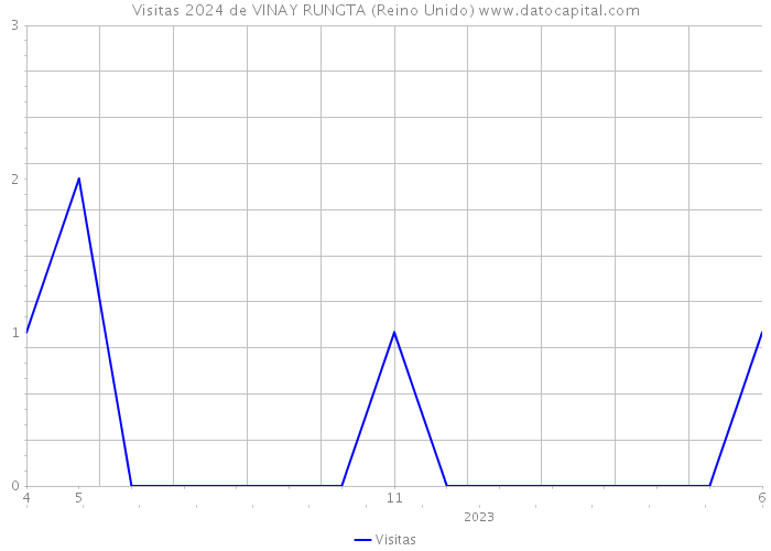 Visitas 2024 de VINAY RUNGTA (Reino Unido) 