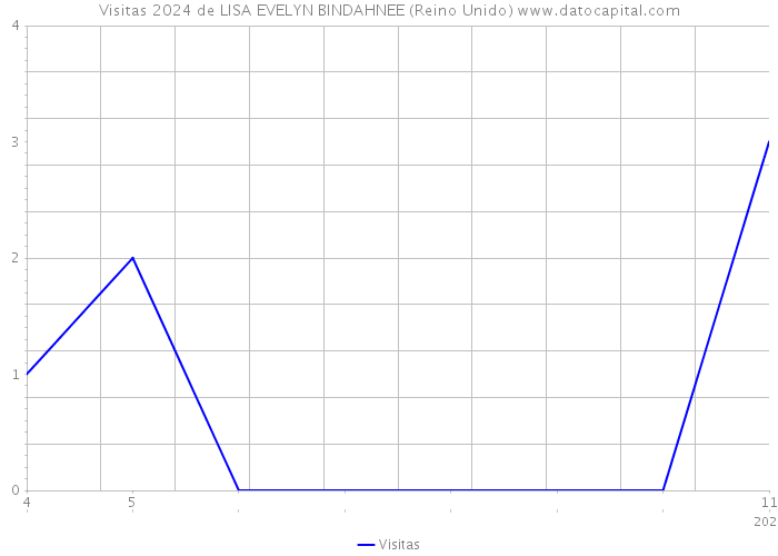 Visitas 2024 de LISA EVELYN BINDAHNEE (Reino Unido) 