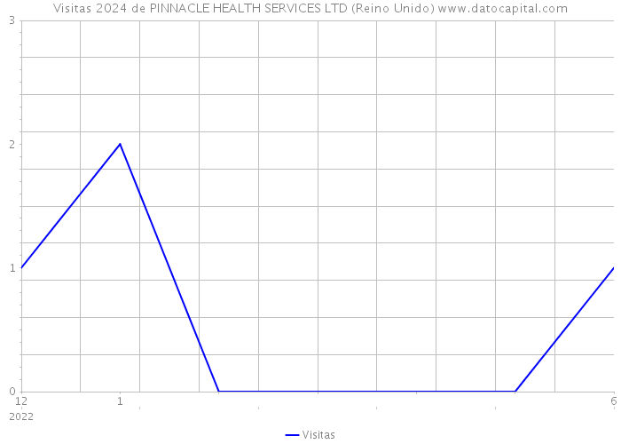 Visitas 2024 de PINNACLE HEALTH SERVICES LTD (Reino Unido) 