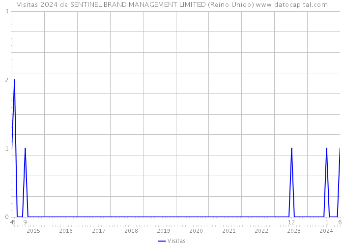 Visitas 2024 de SENTINEL BRAND MANAGEMENT LIMITED (Reino Unido) 