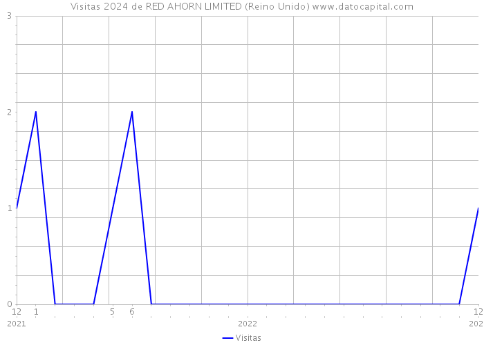 Visitas 2024 de RED AHORN LIMITED (Reino Unido) 