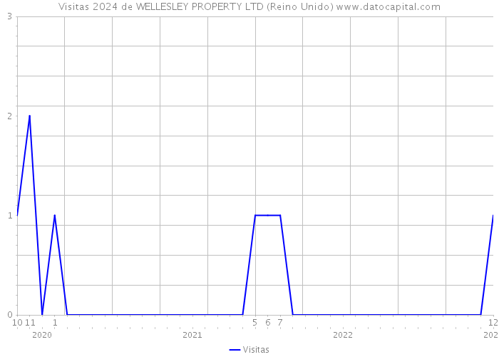 Visitas 2024 de WELLESLEY PROPERTY LTD (Reino Unido) 