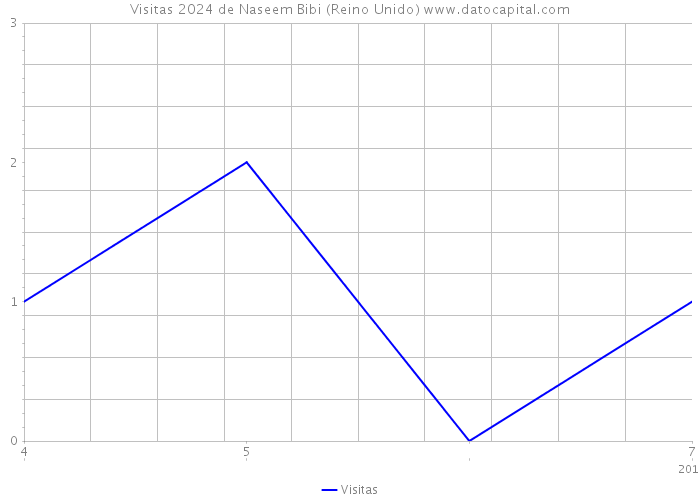 Visitas 2024 de Naseem Bibi (Reino Unido) 