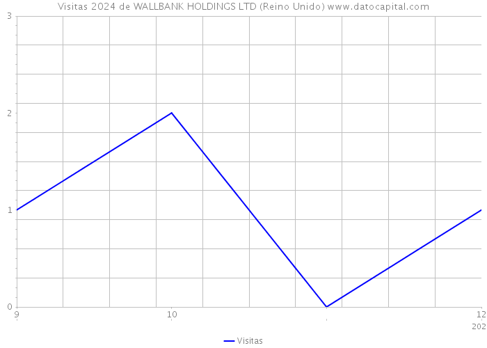 Visitas 2024 de WALLBANK HOLDINGS LTD (Reino Unido) 