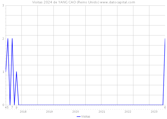 Visitas 2024 de YANG CAO (Reino Unido) 