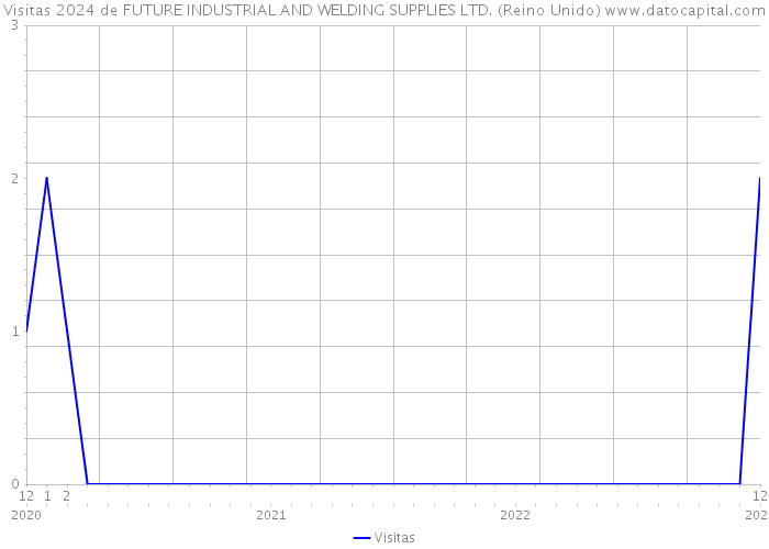 Visitas 2024 de FUTURE INDUSTRIAL AND WELDING SUPPLIES LTD. (Reino Unido) 