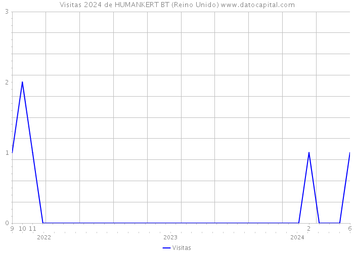 Visitas 2024 de HUMANKERT BT (Reino Unido) 