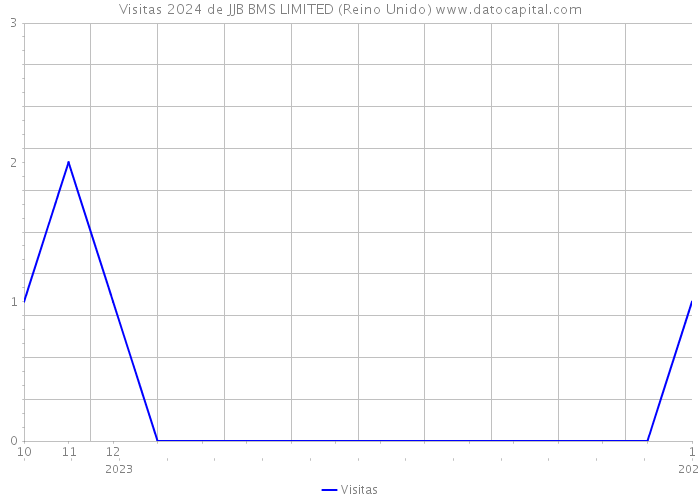 Visitas 2024 de JJB BMS LIMITED (Reino Unido) 