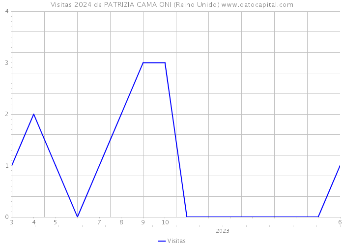 Visitas 2024 de PATRIZIA CAMAIONI (Reino Unido) 