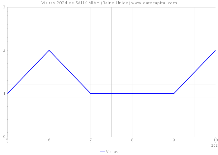 Visitas 2024 de SALIK MIAH (Reino Unido) 