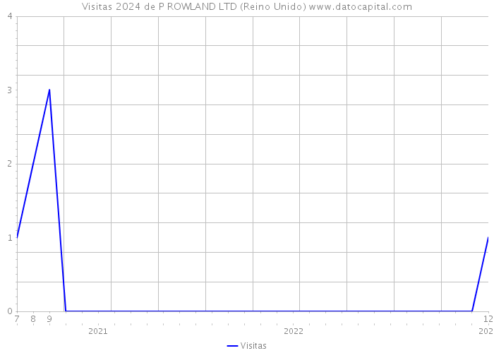 Visitas 2024 de P ROWLAND LTD (Reino Unido) 