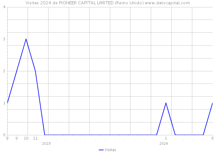 Visitas 2024 de PIONEER CAPITAL LIMITED (Reino Unido) 