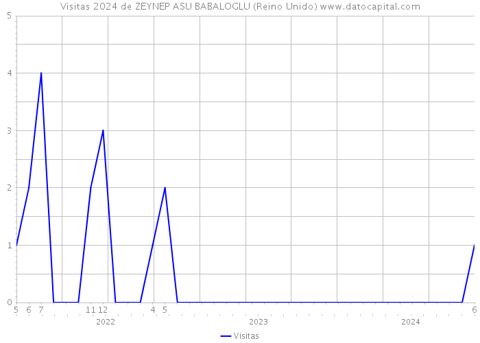 Visitas 2024 de ZEYNEP ASU BABALOGLU (Reino Unido) 