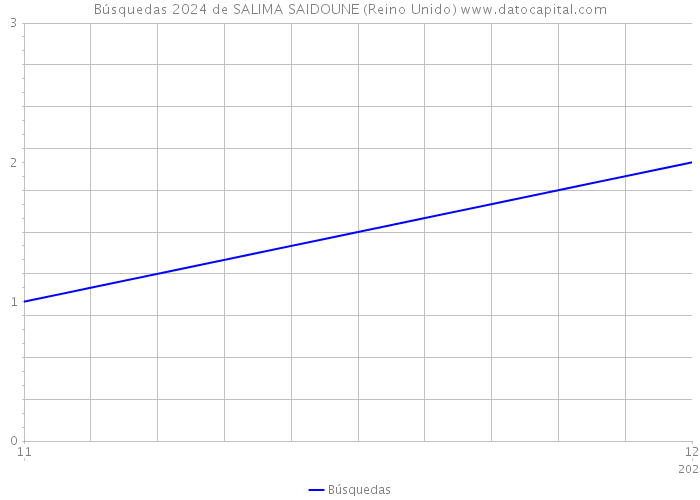 Búsquedas 2024 de SALIMA SAIDOUNE (Reino Unido) 