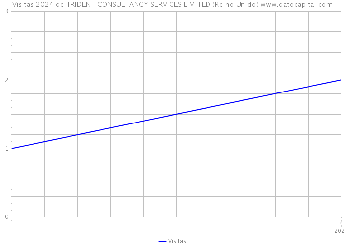 Visitas 2024 de TRIDENT CONSULTANCY SERVICES LIMITED (Reino Unido) 