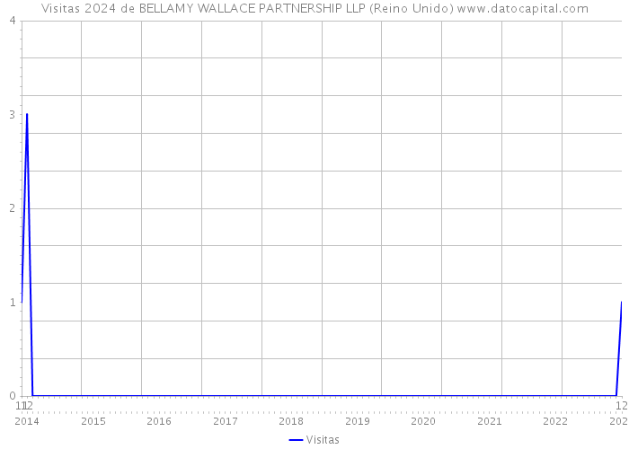 Visitas 2024 de BELLAMY WALLACE PARTNERSHIP LLP (Reino Unido) 