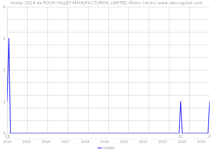 Visitas 2024 de ROCH VALLEY MANUFACTURING LIMITED (Reino Unido) 