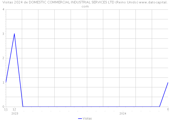 Visitas 2024 de DOMESTIC COMMERCIAL INDUSTRIAL SERVICES LTD (Reino Unido) 