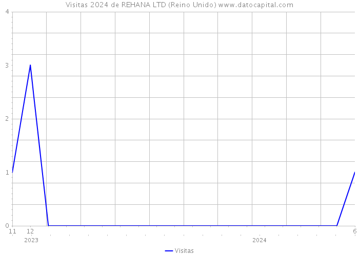 Visitas 2024 de REHANA LTD (Reino Unido) 