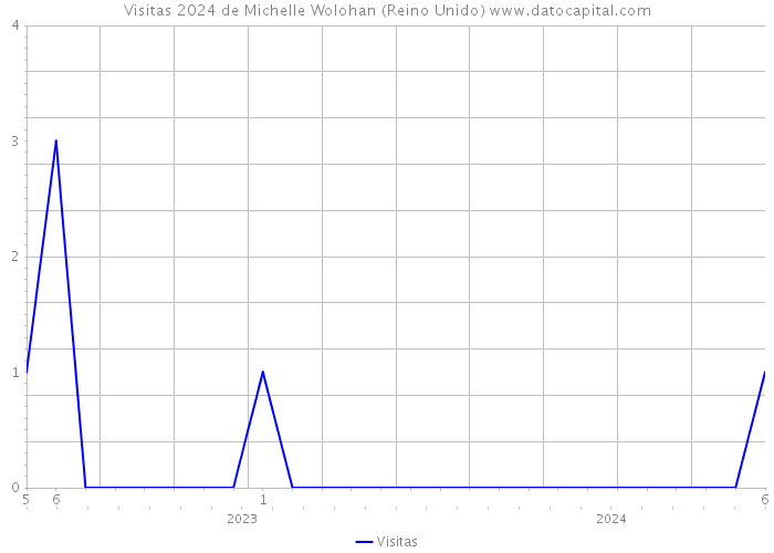 Visitas 2024 de Michelle Wolohan (Reino Unido) 