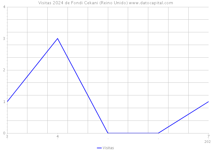 Visitas 2024 de Fondi Cekani (Reino Unido) 