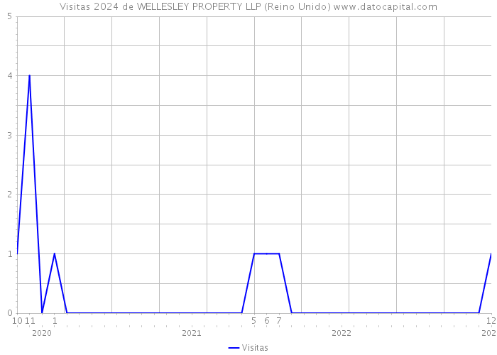 Visitas 2024 de WELLESLEY PROPERTY LLP (Reino Unido) 