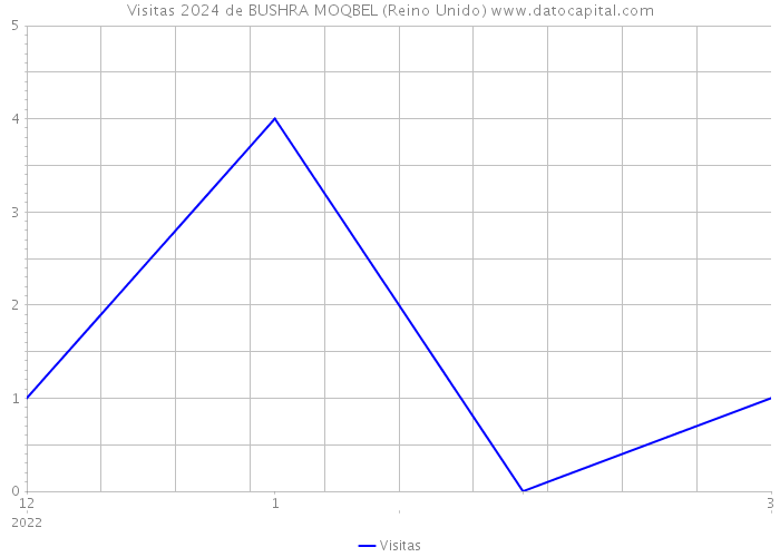 Visitas 2024 de BUSHRA MOQBEL (Reino Unido) 