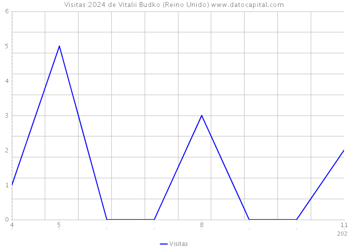 Visitas 2024 de Vitalii Budko (Reino Unido) 