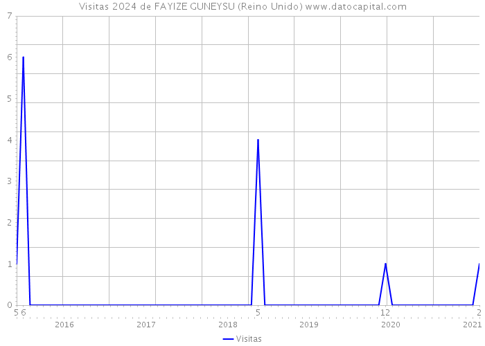 Visitas 2024 de FAYIZE GUNEYSU (Reino Unido) 