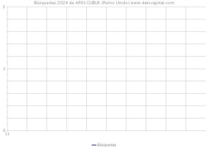 Búsquedas 2024 de ARIN CUBUK (Reino Unido) 