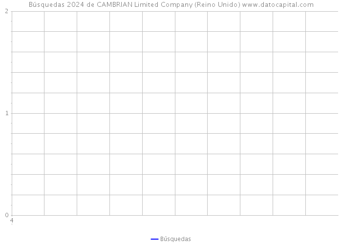 Búsquedas 2024 de CAMBRIAN Limited Company (Reino Unido) 