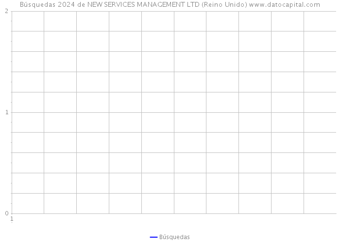 Búsquedas 2024 de NEW SERVICES MANAGEMENT LTD (Reino Unido) 