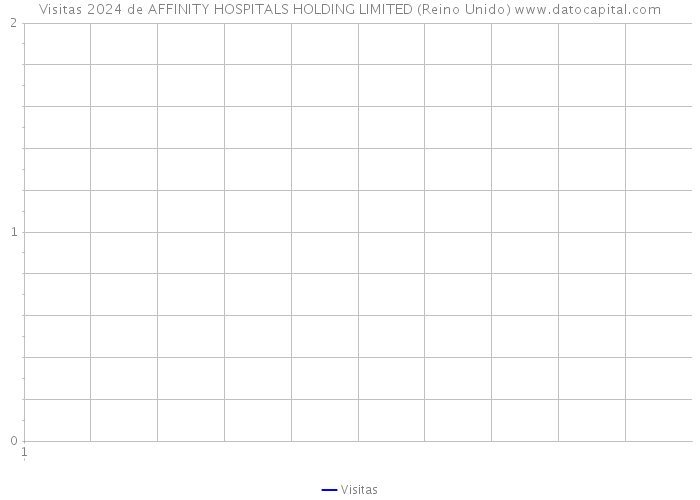 Visitas 2024 de AFFINITY HOSPITALS HOLDING LIMITED (Reino Unido) 