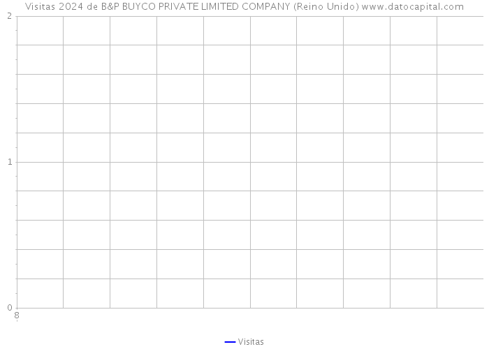 Visitas 2024 de B&P BUYCO PRIVATE LIMITED COMPANY (Reino Unido) 