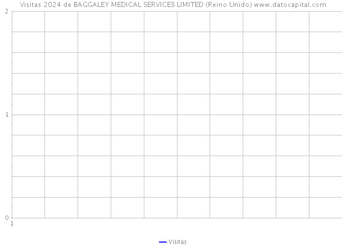 Visitas 2024 de BAGGALEY MEDICAL SERVICES LIMITED (Reino Unido) 