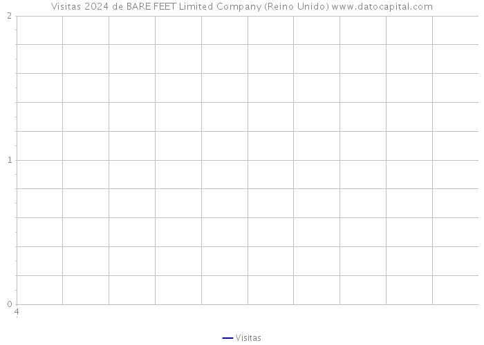 Visitas 2024 de BARE FEET Limited Company (Reino Unido) 