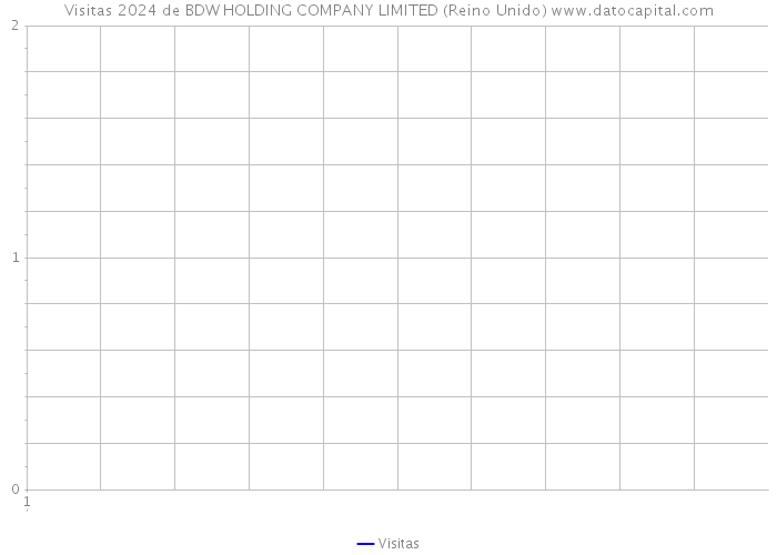 Visitas 2024 de BDW HOLDING COMPANY LIMITED (Reino Unido) 