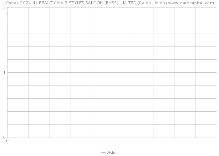 Visitas 2024 de BEAUTY HAIR STYLES SALOON (BHSS) LIMITED (Reino Unido) 