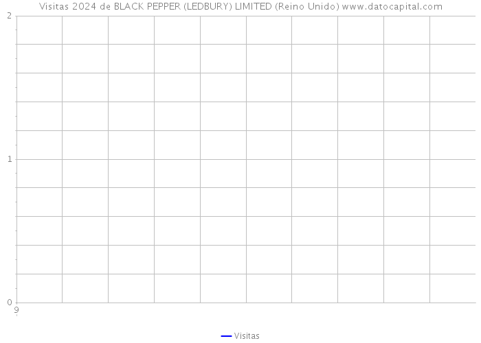 Visitas 2024 de BLACK PEPPER (LEDBURY) LIMITED (Reino Unido) 