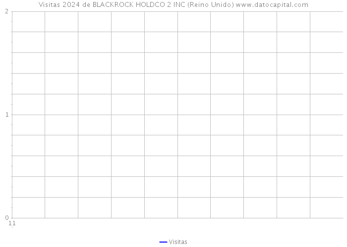 Visitas 2024 de BLACKROCK HOLDCO 2 INC (Reino Unido) 