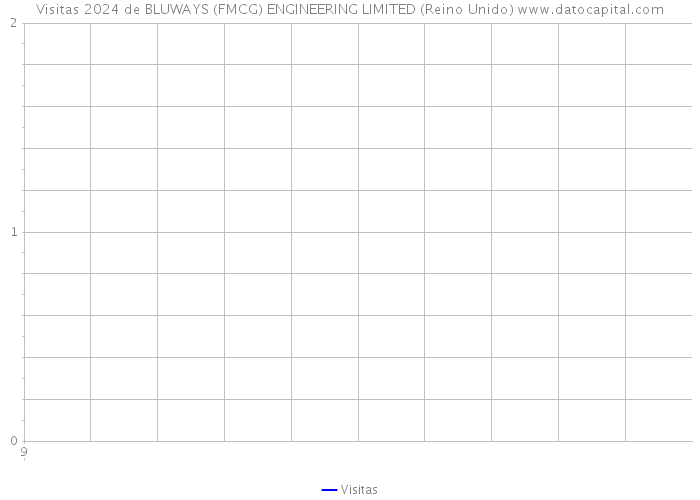 Visitas 2024 de BLUWAYS (FMCG) ENGINEERING LIMITED (Reino Unido) 