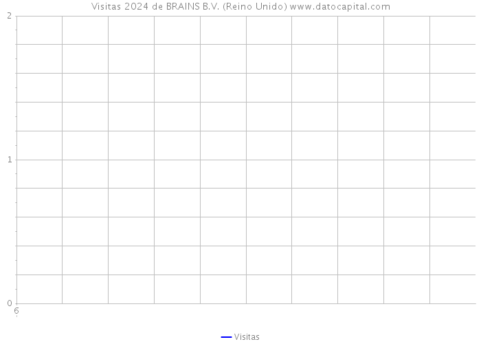 Visitas 2024 de BRAINS B.V. (Reino Unido) 