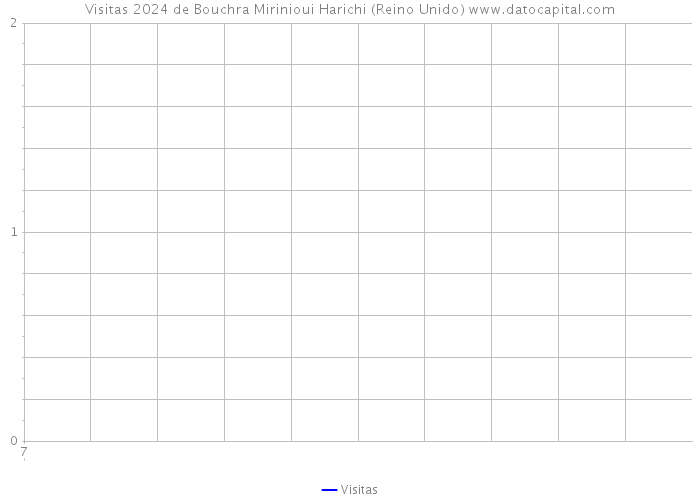 Visitas 2024 de Bouchra Mirinioui Harichi (Reino Unido) 