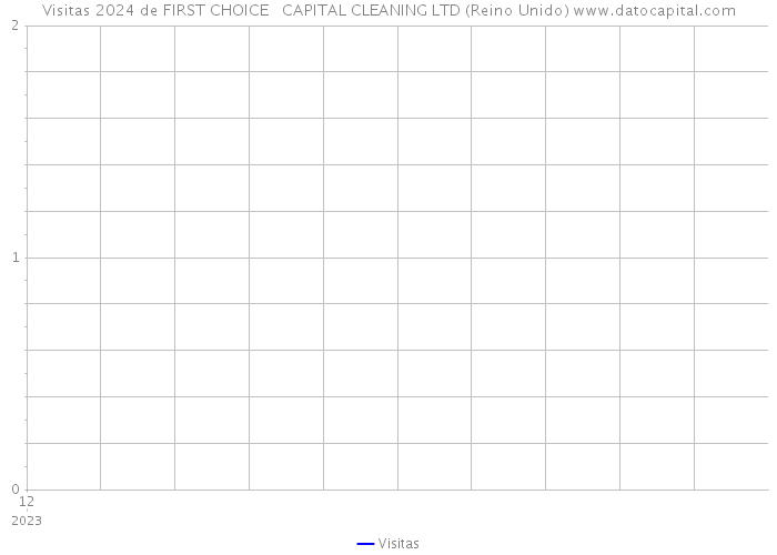 Visitas 2024 de FIRST CHOICE CAPITAL CLEANING LTD (Reino Unido) 