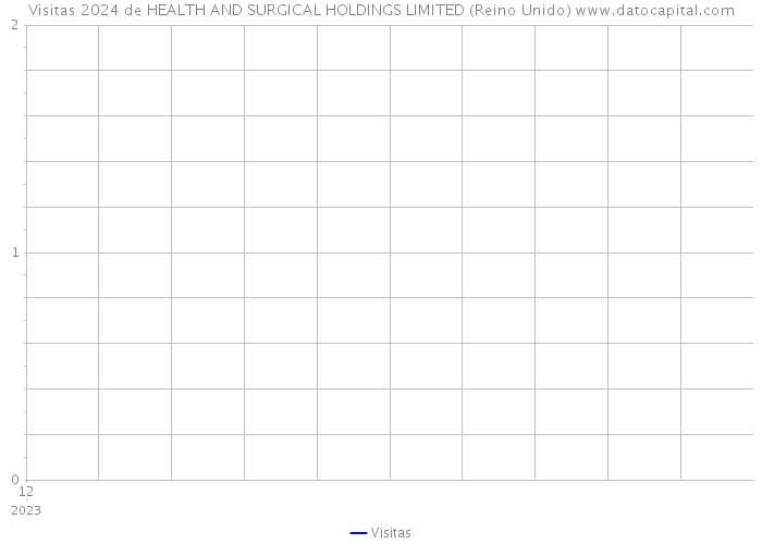 Visitas 2024 de HEALTH AND SURGICAL HOLDINGS LIMITED (Reino Unido) 