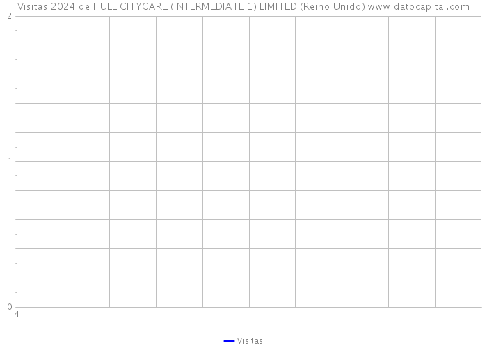 Visitas 2024 de HULL CITYCARE (INTERMEDIATE 1) LIMITED (Reino Unido) 