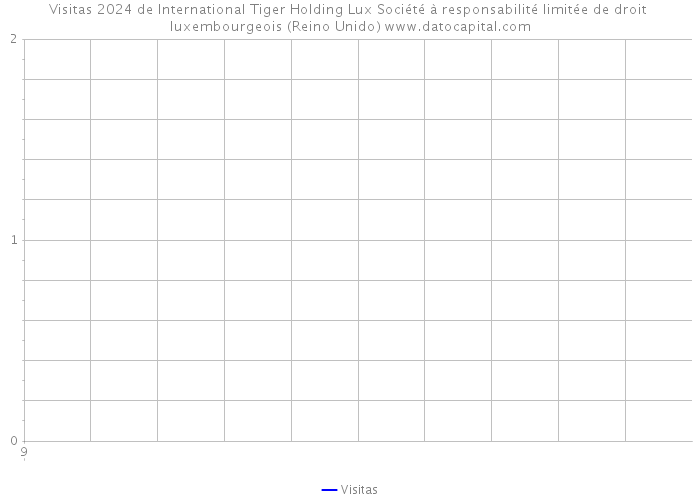 Visitas 2024 de International Tiger Holding Lux Société à responsabilité limitée de droit luxembourgeois (Reino Unido) 