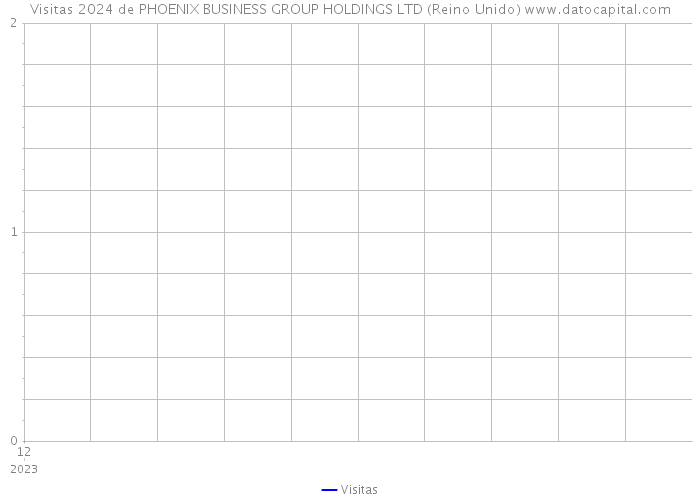 Visitas 2024 de PHOENIX BUSINESS GROUP HOLDINGS LTD (Reino Unido) 